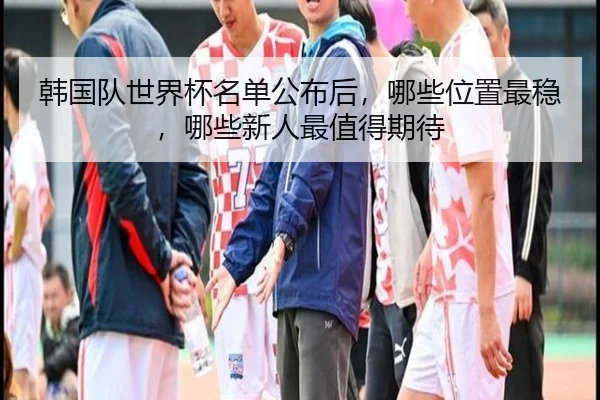 韩国队世界杯名单公布后，哪些位置最稳，哪些新人最值得期待